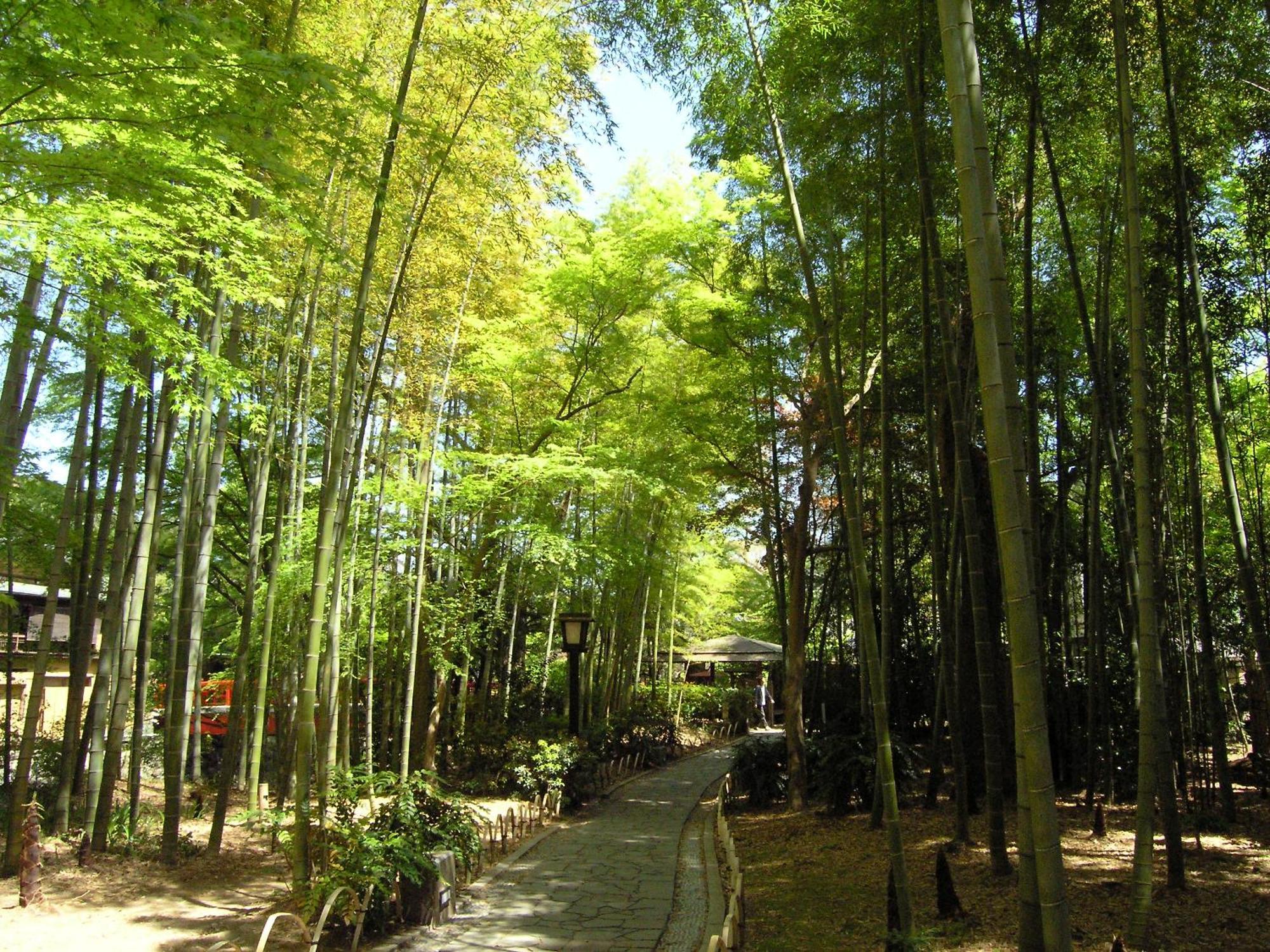 Izu Marriott Hotel Shuzenji Dış mekan fotoğraf