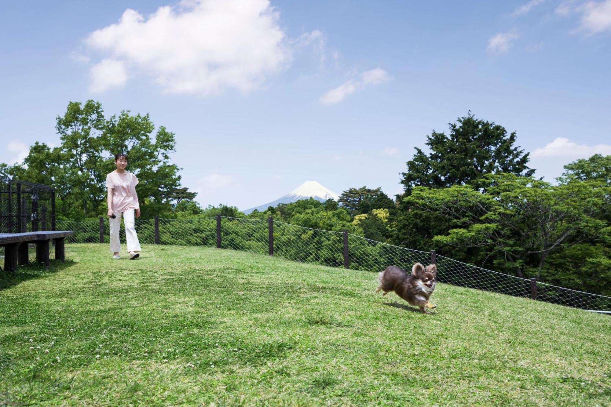 Izu Marriott Hotel Shuzenji Dış mekan fotoğraf