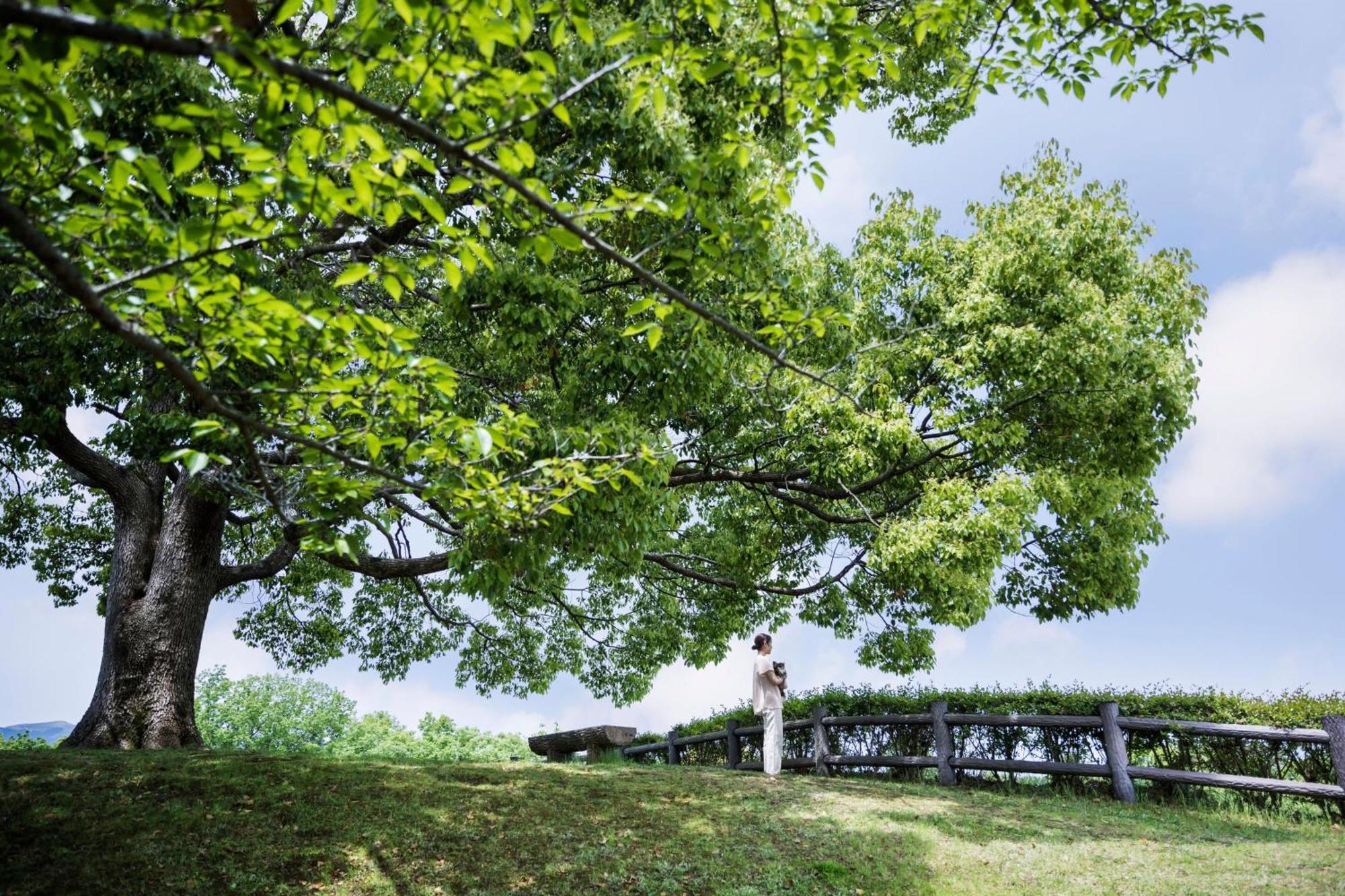 Izu Marriott Hotel Shuzenji Dış mekan fotoğraf